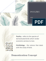 AEAP 116 - Poultry p1