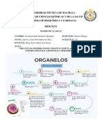 Biologia #3