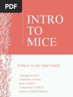 Intro To Mice