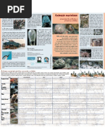 folheto_animais_marinhos