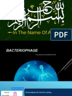 Bacteriophage - PPT1 4