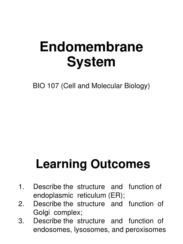 4 Prelim Endomembrane System PDF Endoplasmic Reticulum Lysosome