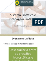 Sistema linfático e drenagem linfática