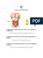 Colon & Semi Colons Worksheet