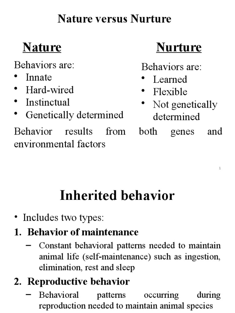 Innate and Learned Behaviors PDF Classical Conditioning Reinforcement