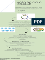 Regulação do ciclo celular: etapas, regiões e tipos de checagem