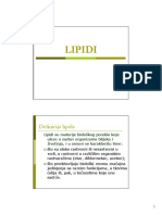 P10 Lipidi
