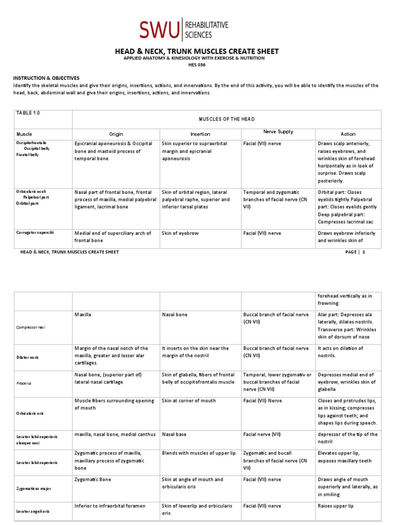 Michelle Renee Perez Aquino - CREATE SHEET 1 HES 036 LAB | Download Free PDF | Vertebra