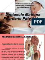 Lactancia Materna y Puerperio Patologico