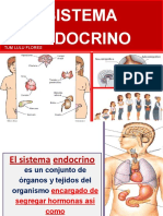 10 Sistema Endocrino