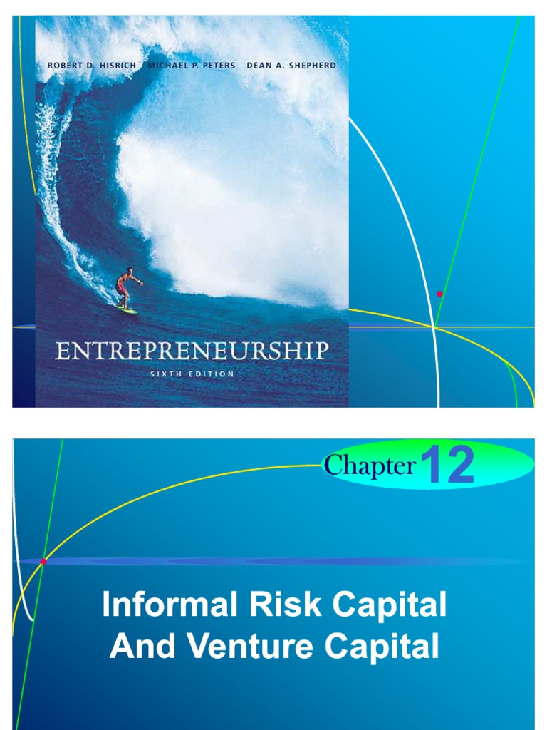 Informal Risk Capital Overview | PDF | Business | Finance & Money ...