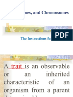 DNA Genes and Chromosomes