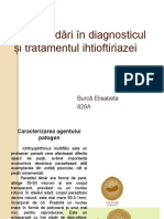 Noi Abordări În Diagnosticul Și Tratamentul Ihtioftiriazei