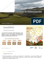 Día 2. Intervención Del Programa Nacional de Reforestación en El Sur Del País