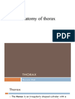 Anatomy of Thoraz Lec 1