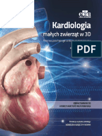 Kardiologia 3 D