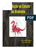 Introdução A Anatomia Graduação 2015