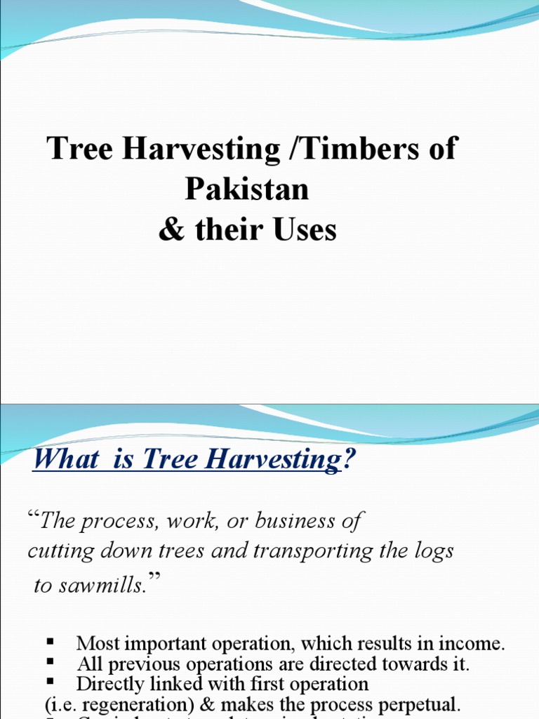 Timber Species and Uses in Pakistan | PDF | Wood | Pine