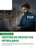 Gestión de Proyectos Petroleros