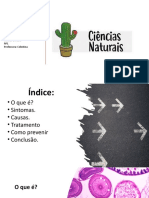 Ciências Naturais - André Oliveira - 9ºD - Nº1