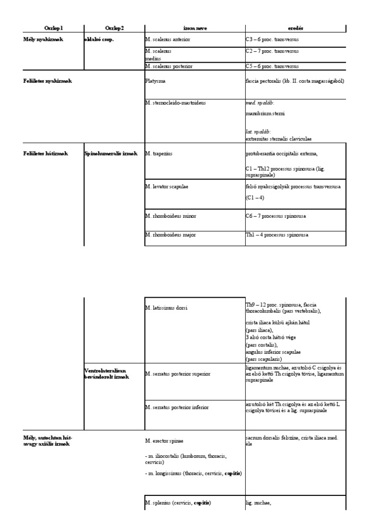 Izomtan Össz Röv | PDF