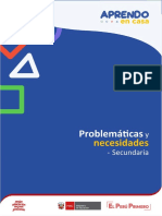 Anexo 6 - Problemáticas y Necesidades