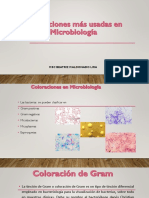 Coloraciones en Microbiología