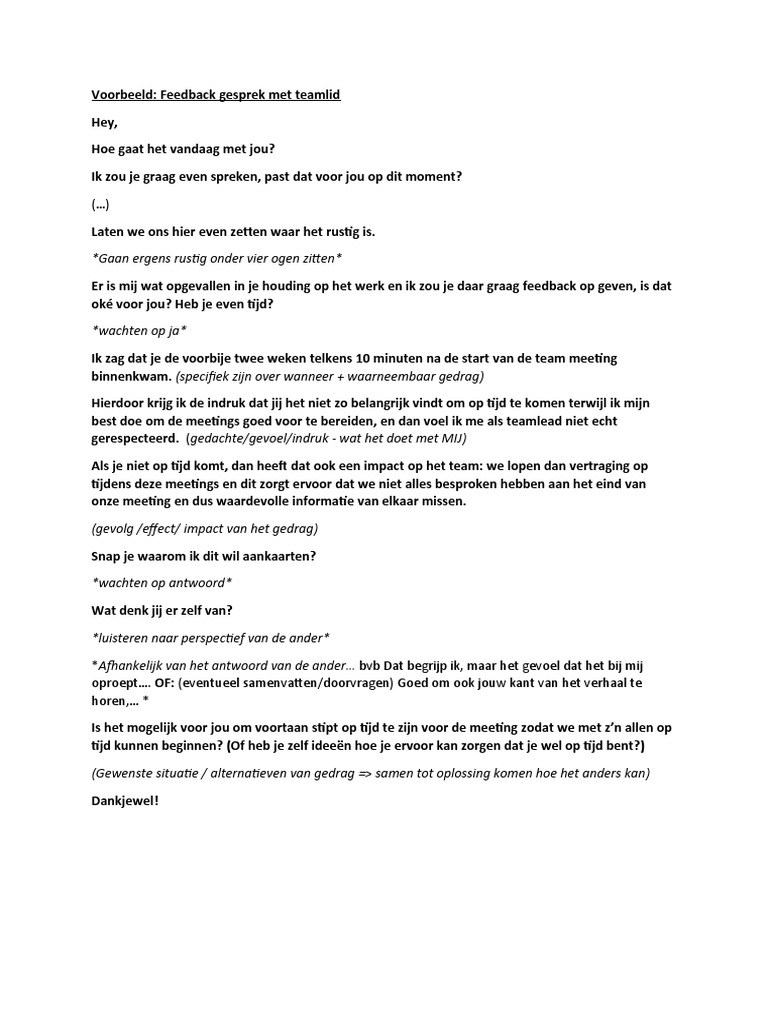 Rollenspel Feedback PDF