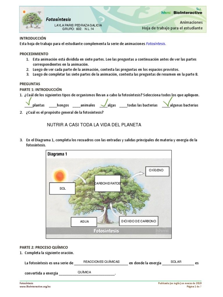 Animación de la Fotosíntesis | PDF | Fotosíntesis | Trifosfato de adenosina