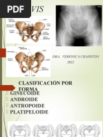 Pelvis y Periné 2022