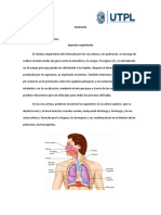 Sistema Respiratorio