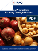 Producción de Cebolla-De La Siembra A La Cosecha-USAID (Ingles)
