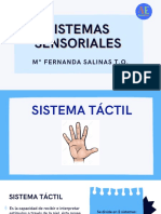 Sistemas Sensoriales