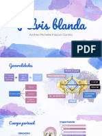 Pelvis blanda: anatomía y funciones clave