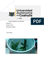 Tarea Ecología