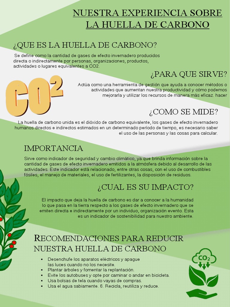 Comprende y Reduce tu Huella de Carbono | PDF | Ciencia y matemáticas