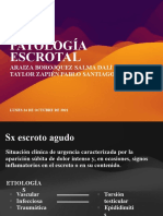 Patologia Escrotal