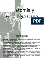 Tema 1 Anatomía y Fisiología Ósea