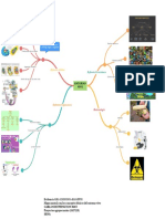 Mapa Mental Con Los Conceptos Básicos Del Entorno Vivo.