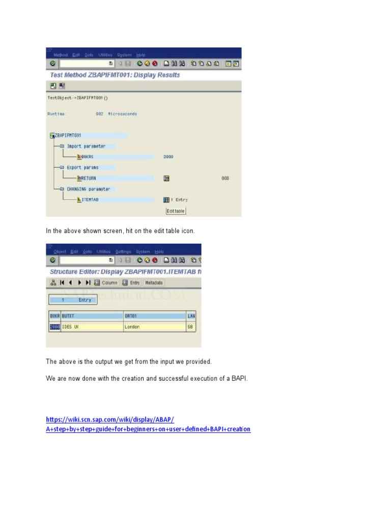 BAPI Creation and Execution Guide | PDF