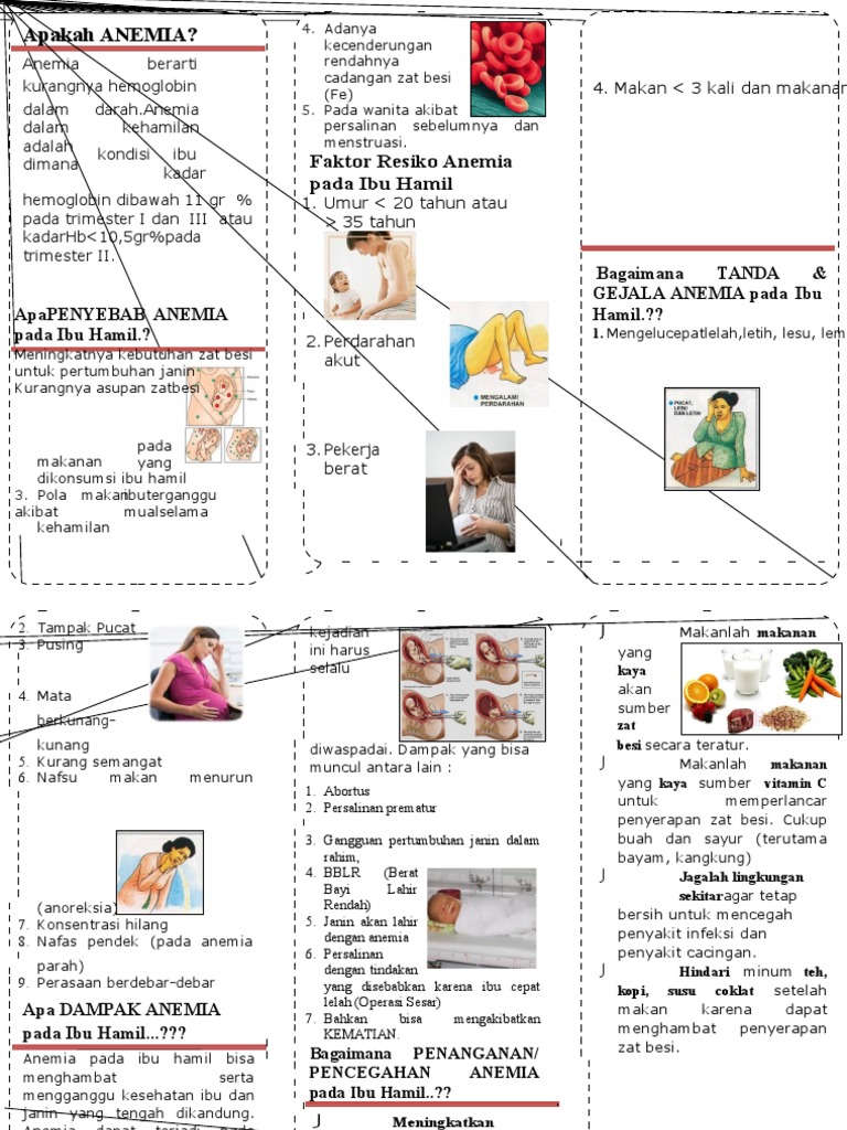 Leaflet Anemia | PDF