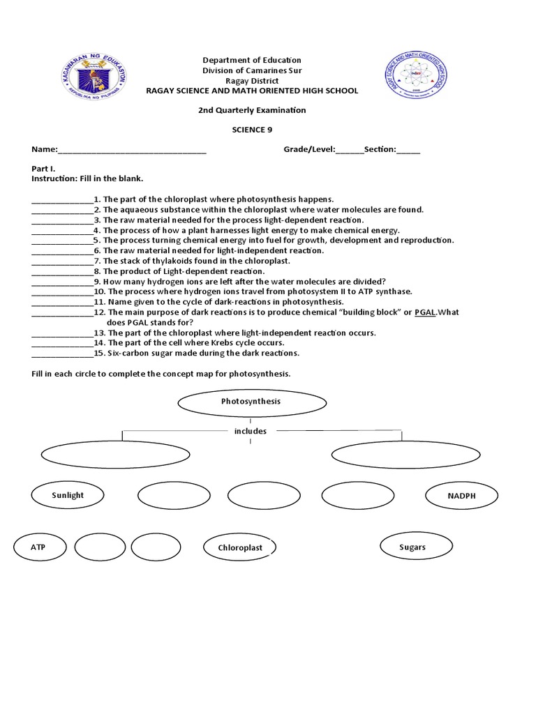 Science 9 2nd Grading | PDF | Photosynthesis | Chloroplast
