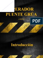 Operador Puente Grua