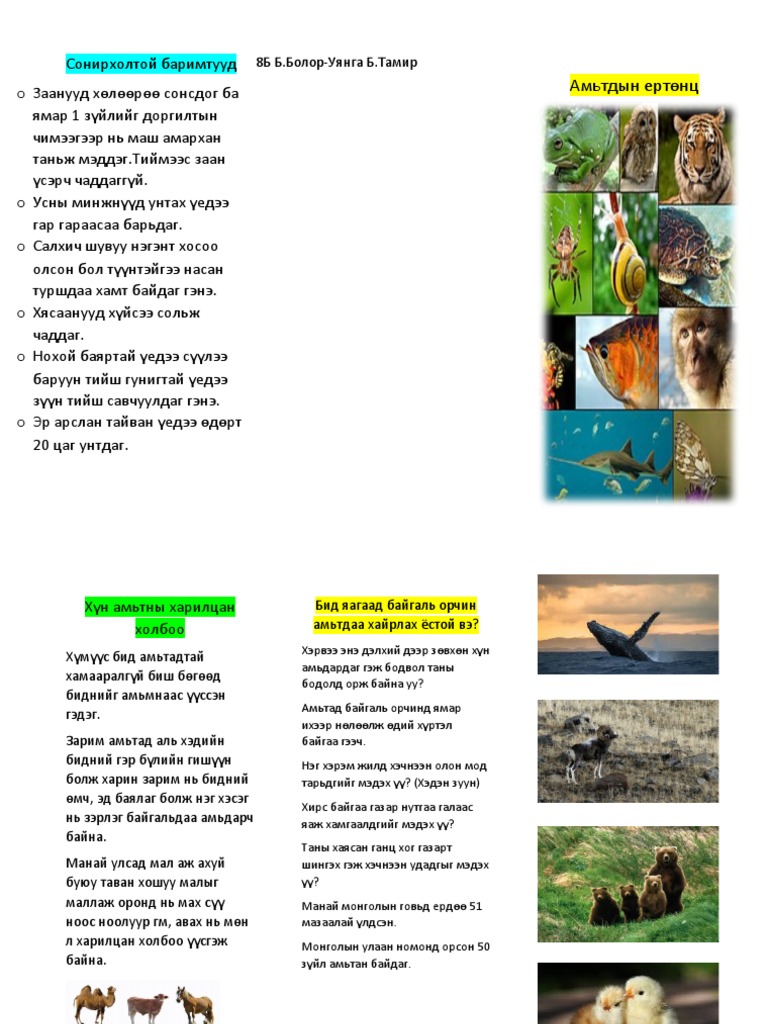 Уянга | PDF