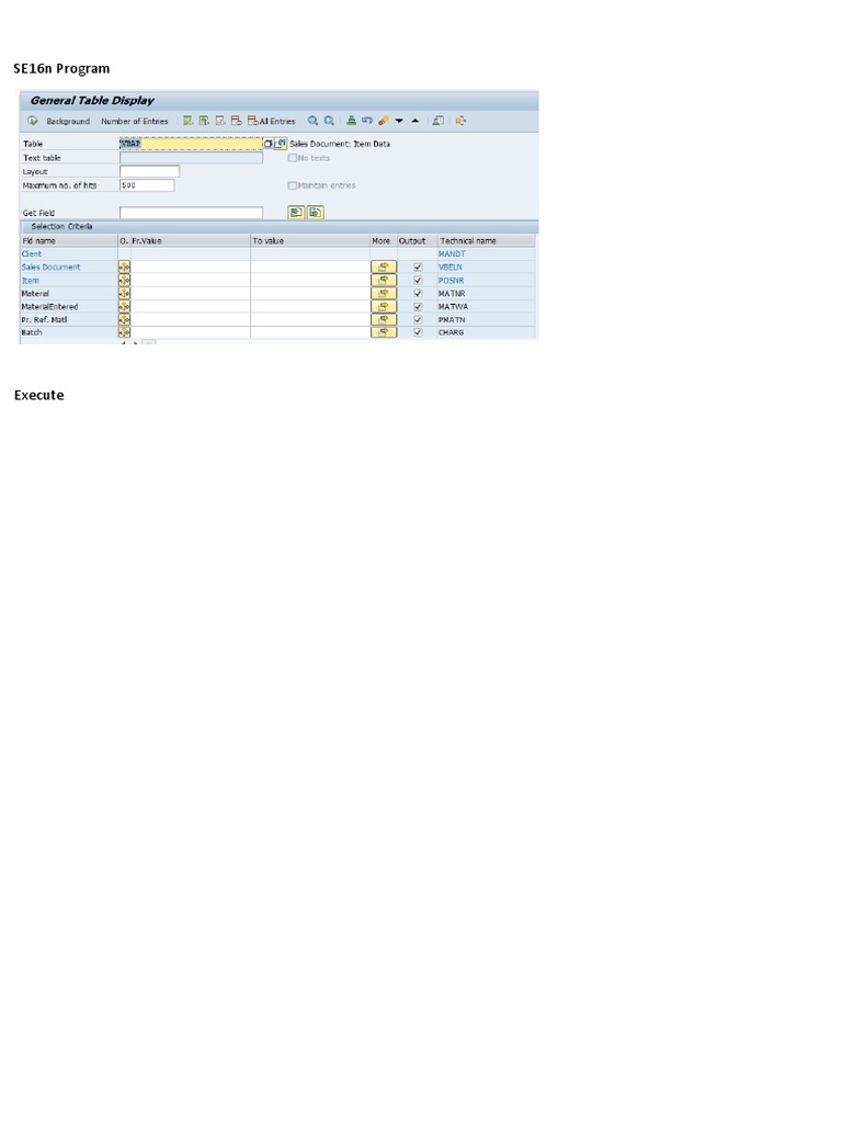 SE16n Program | PDF