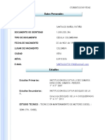 Curriculum Vitae Santiago