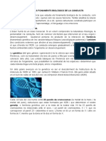 Unitat 3. Els Fonaments Biològics de La Conducta