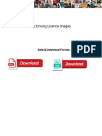 AP Driving Licence Images