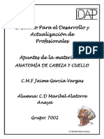 Apuntes de Anatomia de Cabeza y Cuello