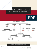 Enterobacteriaceace Part 1